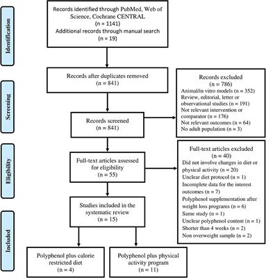 The Effects of Polyphenol Supplementation in Addition to Calorie Restricted Diets and/or Physical Activity on Body Composition Parameters: A Systematic Review of Randomized Trials